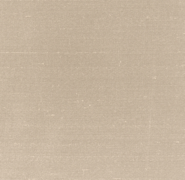 Washed Silk Drapery Swatch