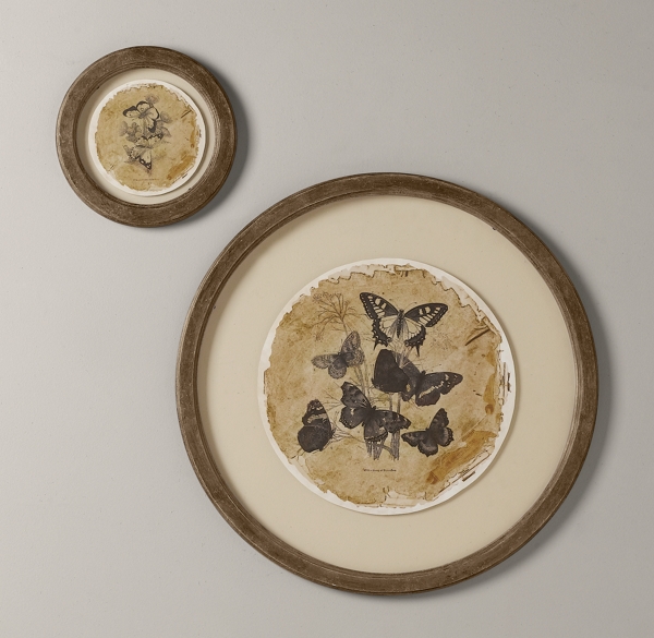 Floating Butterfly Art