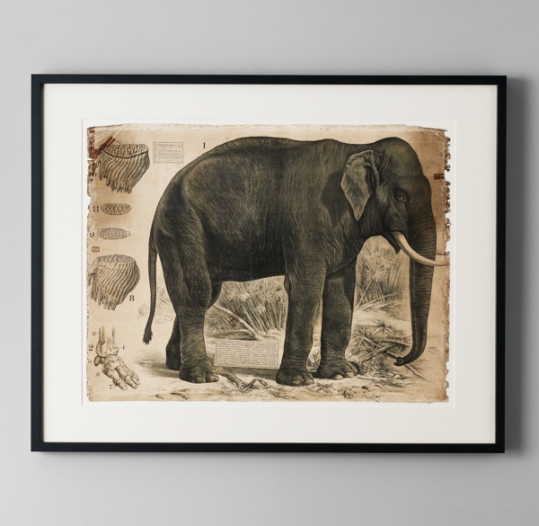 African Animal Art