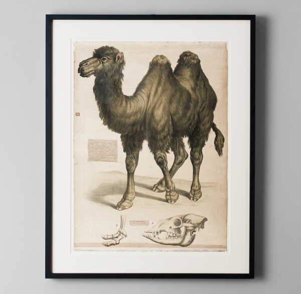 African Animal Art
