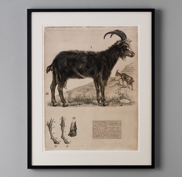 African Animal Art
