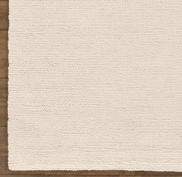 Textured Braided Wool Rug Swatch