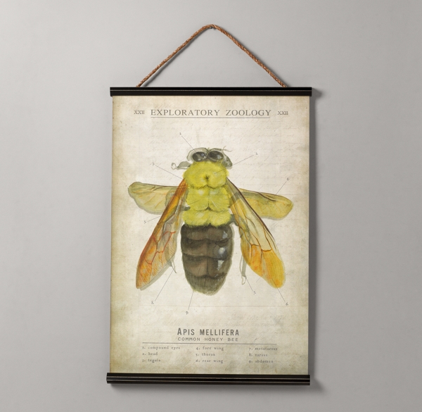 Entomology Tapestry - Bee