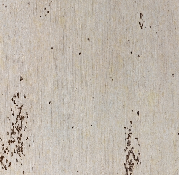 Wood Swatch - Vintage Ecru
