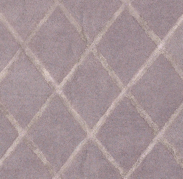 Amari Trellis Rug Swatch