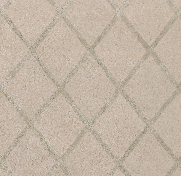 Amari Trellis Rug Swatch