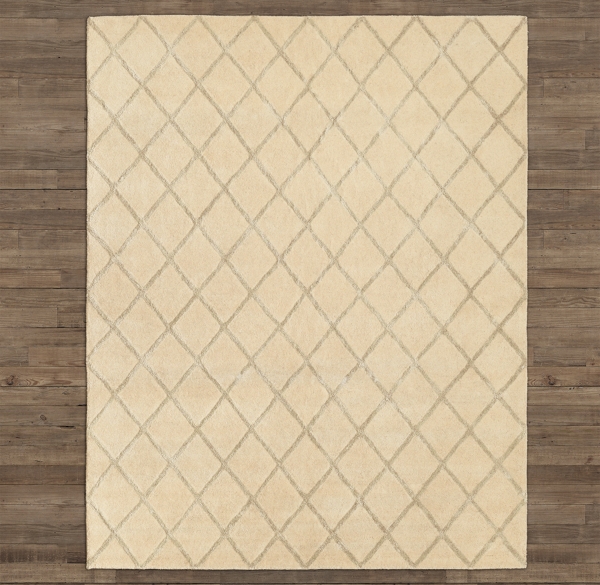 Amari Trellis Rug