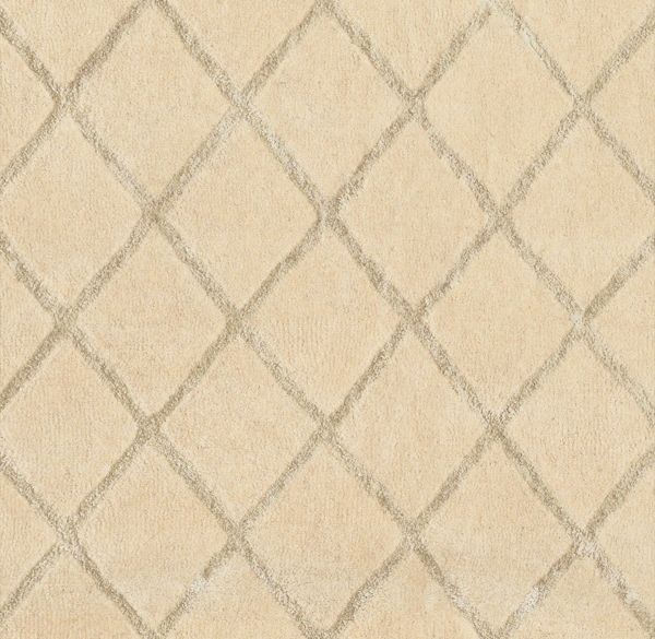 Amari Trellis Rug Swatch