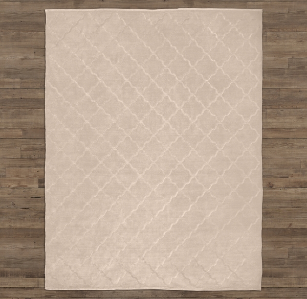 Merle Embroidered Chenille Rug