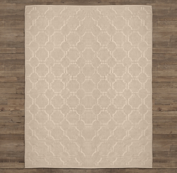 Maxime Embroidered Chenille Rug