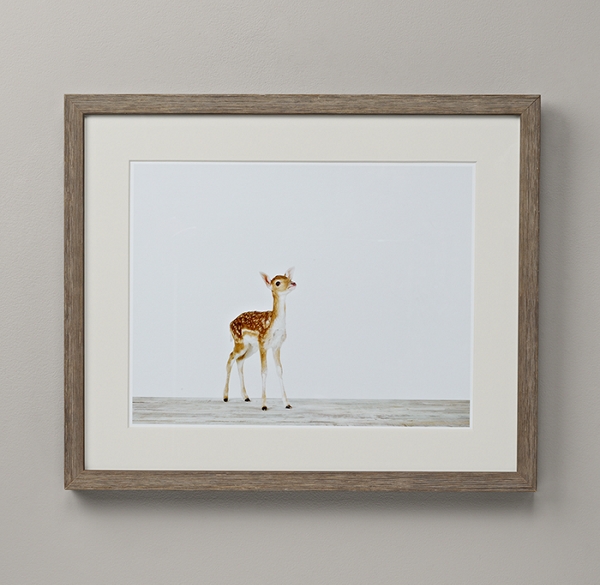 Baby Animal Portrait - Deer