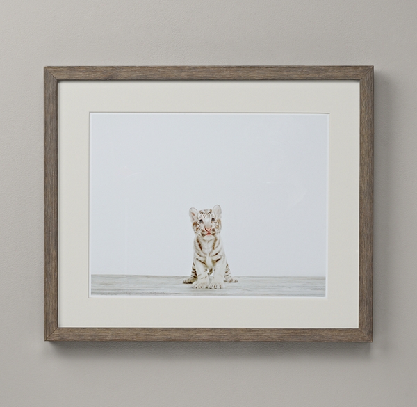 Baby Animal Portrait - Tiger