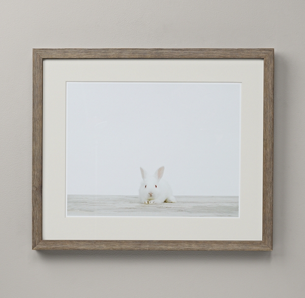 Baby Animal Portrait - Bunny