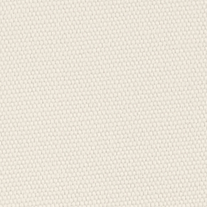 Warm White