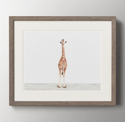 Baby Animal Portrait - Giraffe