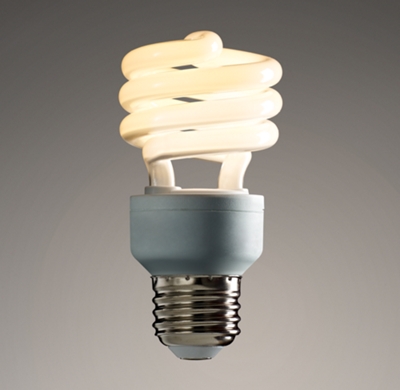 Compact Fluorescent Edison 13w Bulb
