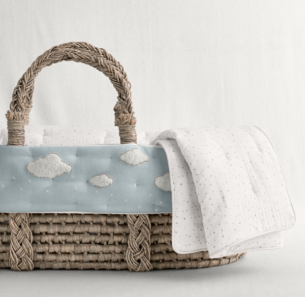 cloud moses basket